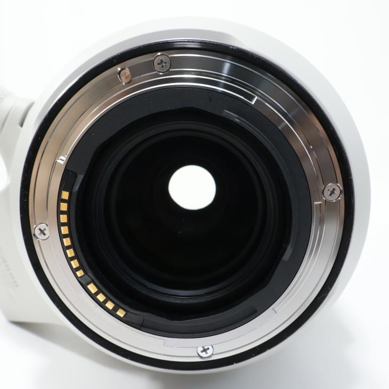 RF100-500mm F4.5-7.1 L IS USM