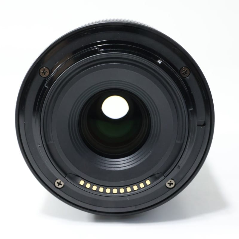 NIKKOR Z DX 50-250mm f/4.5-6.3 VR
