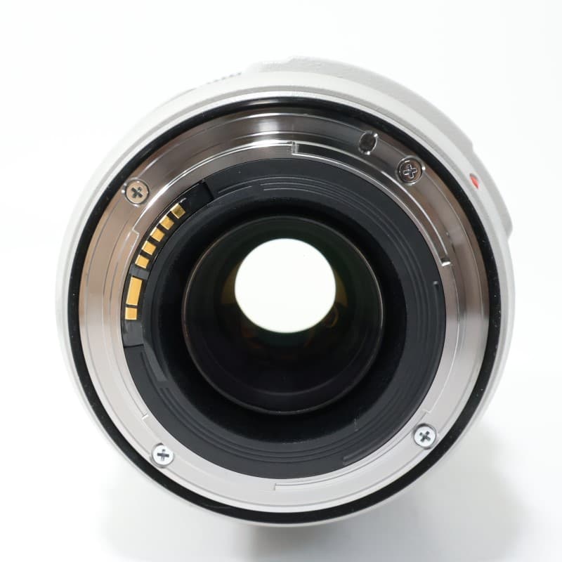 EF 70-300mm F4-5.6 L IS USM