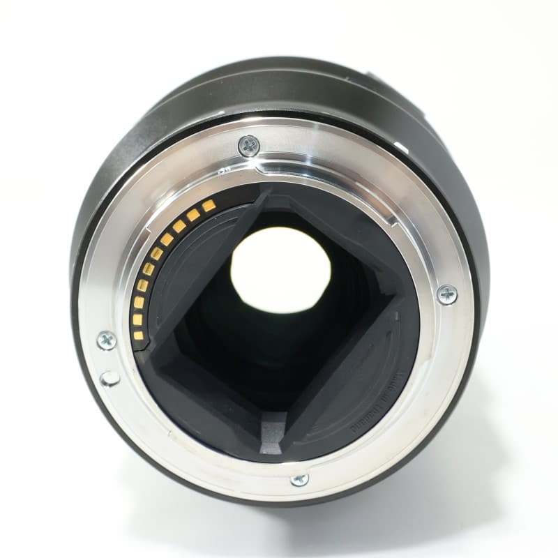 FE 90mm F2.8 Macro G OSS SEL90M28G