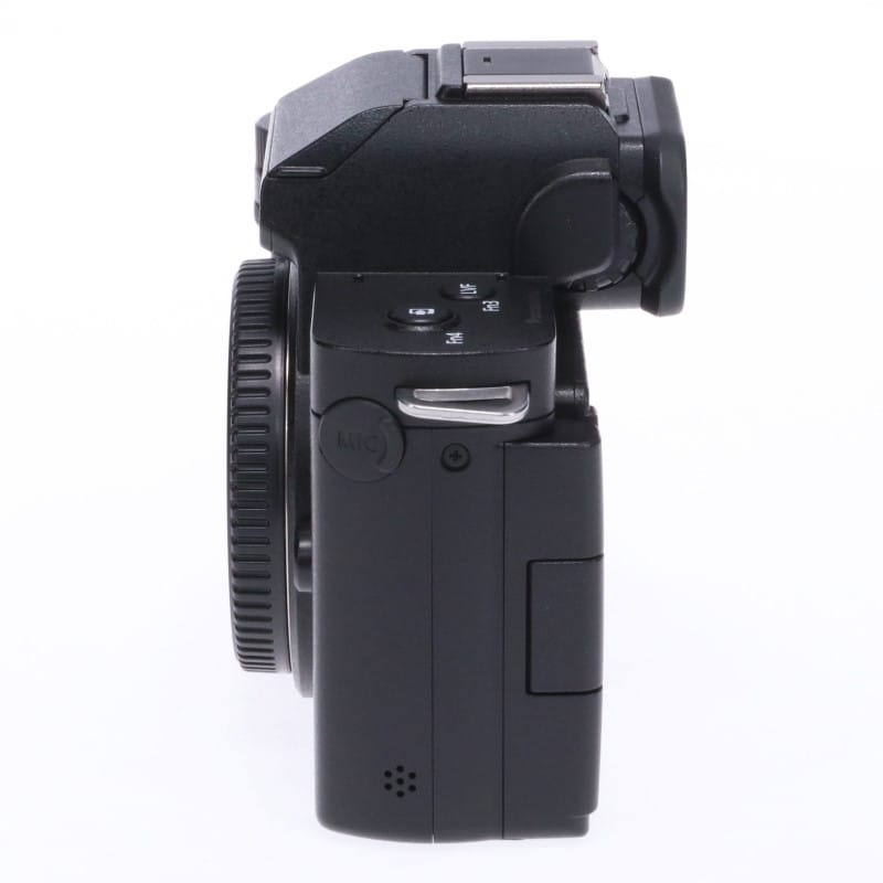 LUMIX G100 ボディ DC-G100