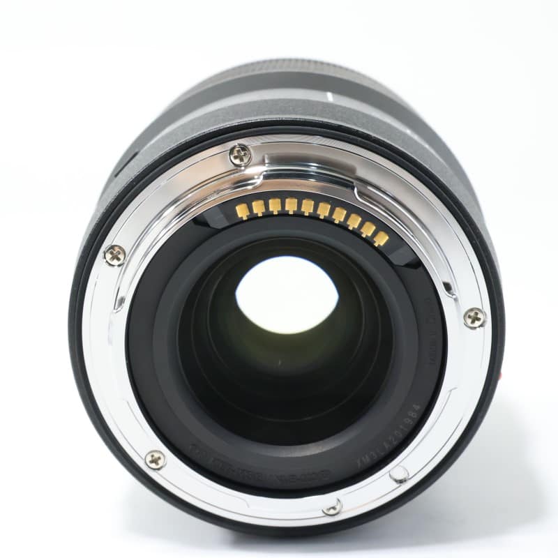 LUMIX S 100mm F2.8 MACRO S-E100