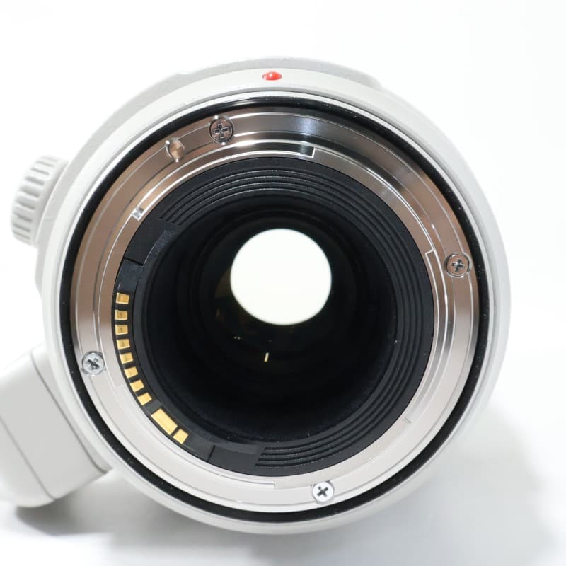 EF100-400mm F4.5-5.6L IS II USM