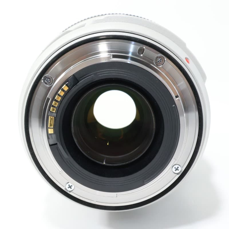 EF 70-300mm F4-5.6 L IS USM