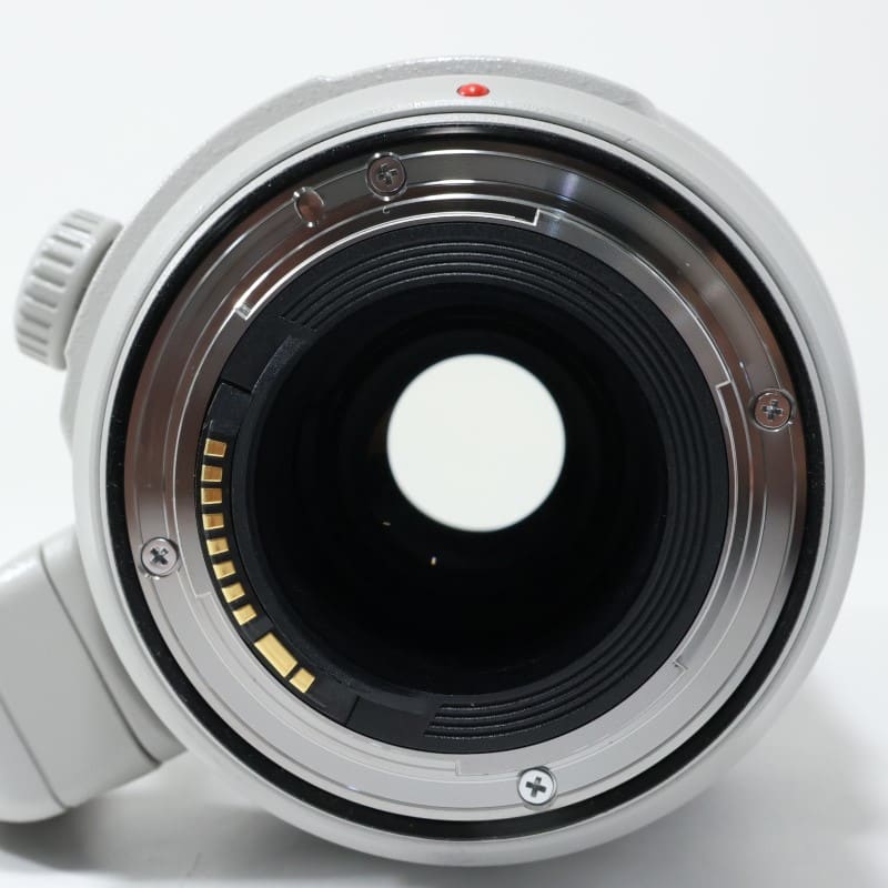EF100-400mm F4.5-5.6L IS II USM