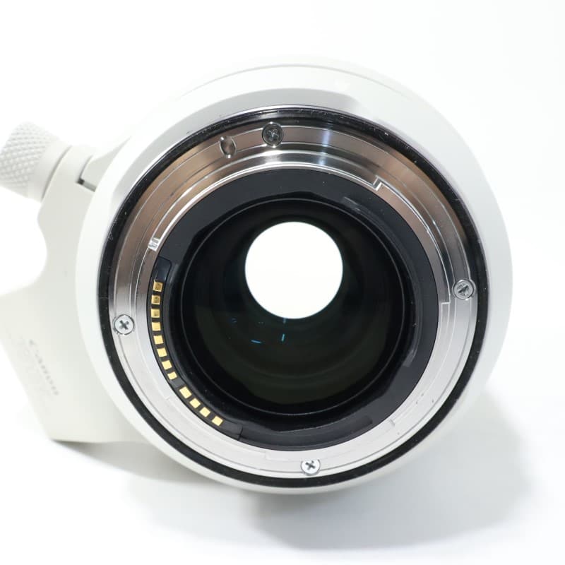 RF70-200mm F2.8 L IS USM