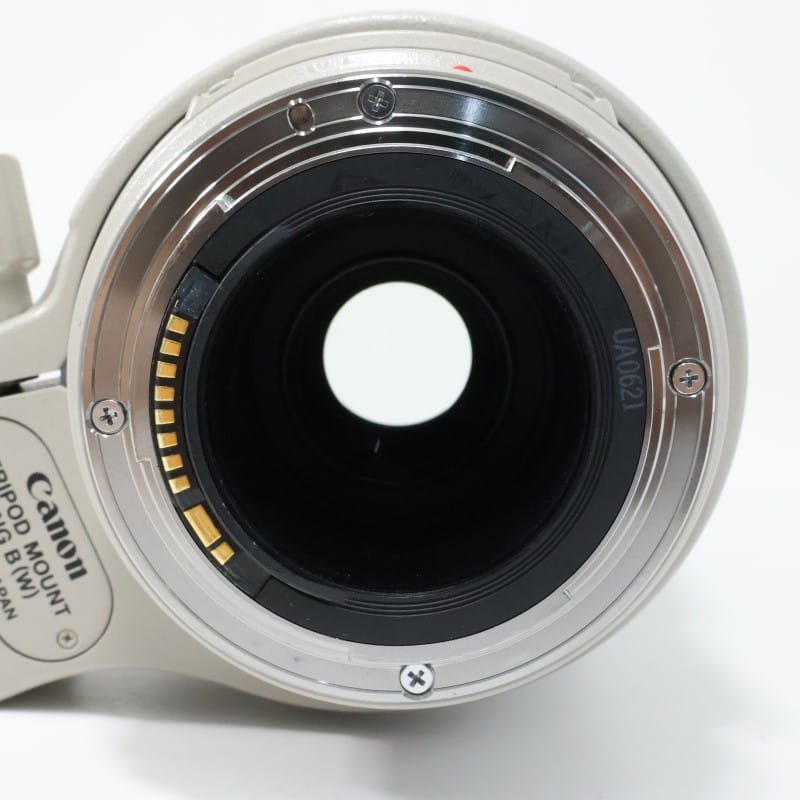 EF 100-400mm F4.5-5.6 L IS USM