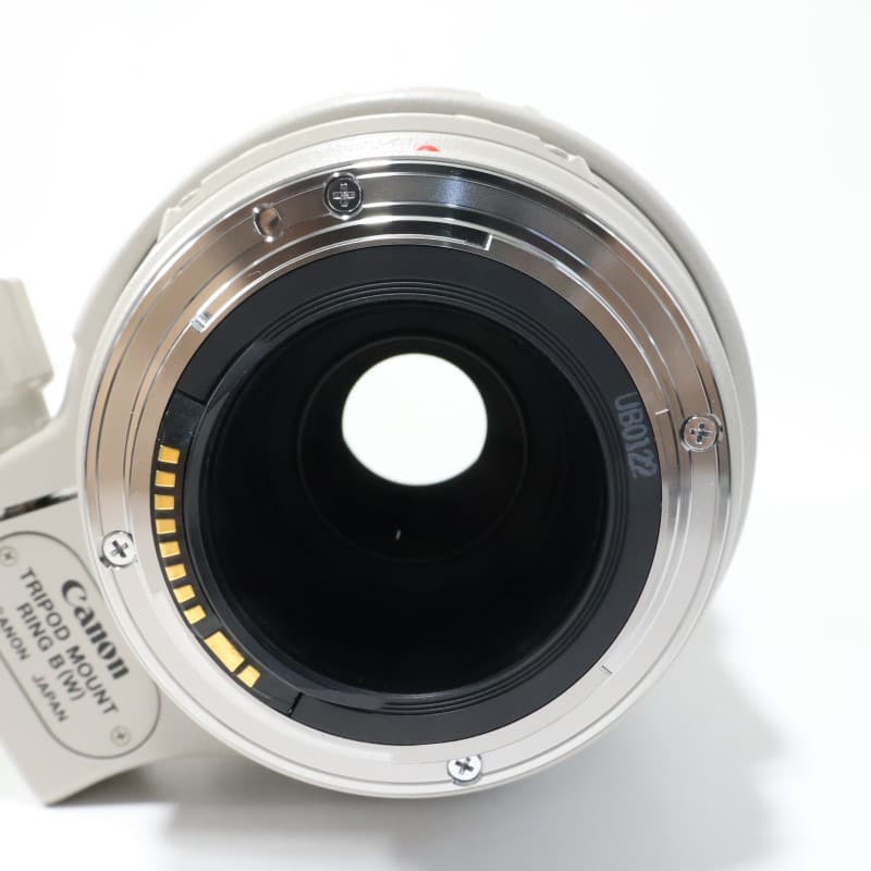 EF 100-400mm F4.5-5.6 L IS USM