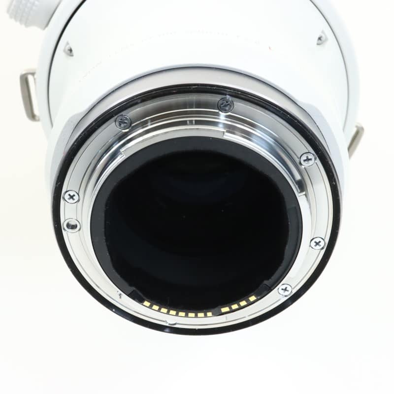 RF100-300mm F2.8 L IS USM