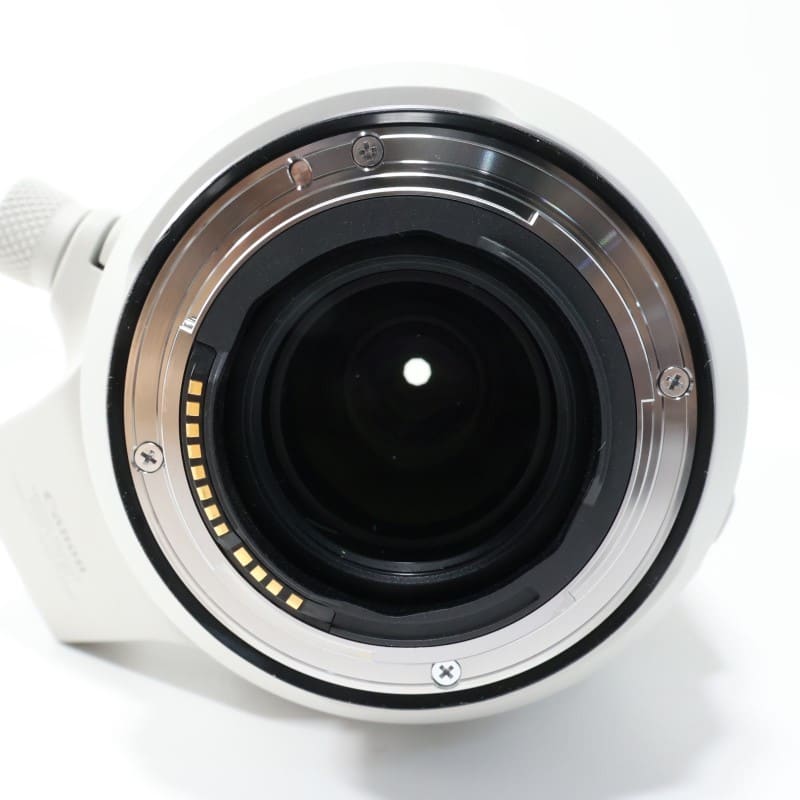 RF100-500mm F4.5-7.1 L IS USM