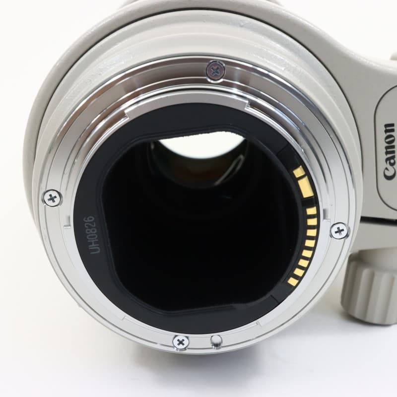 EF 300mm F4 L IS USM