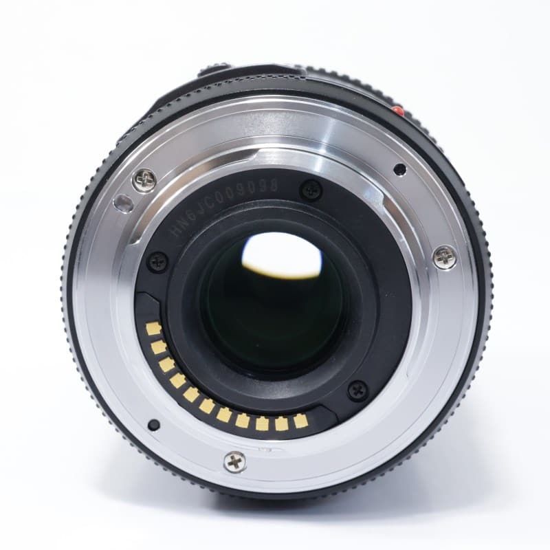 Panasonic LUMIX G X VARIO PZ 45-175mm/F4.0-5.6 ASPH./POWER O.I.S.
