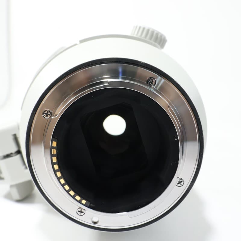 FE 200-600mm F5.6-6.3 G OSS SEL200600G