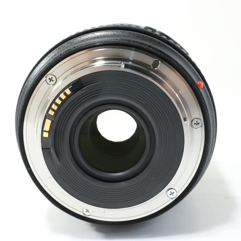 EF24-70mm F4L IS USM