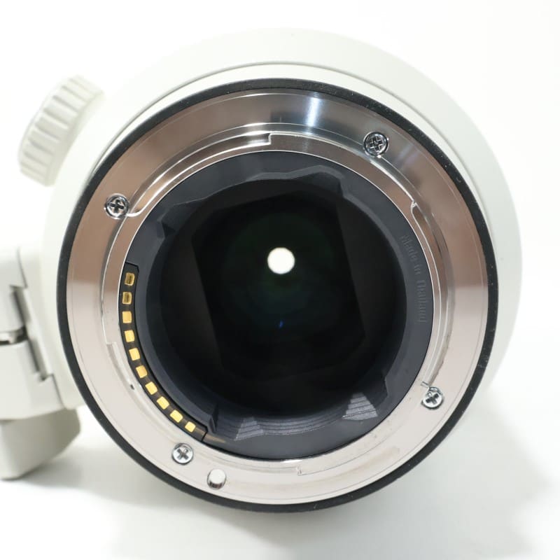 FE 70-200mm F2.8 GM OSS SEL70200GM