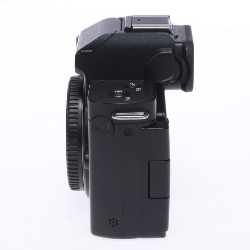 LUMIX G100 DC-G100 ボディ単体