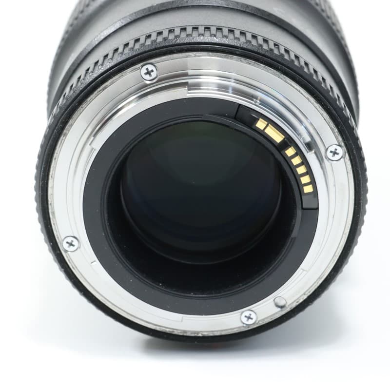 EF100mm F2.8Lマクロ IS USM