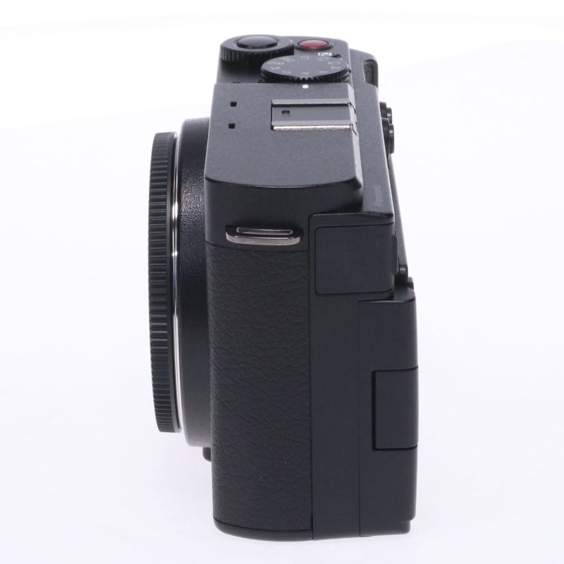 LUMIX S9 ボディ ブラック DC-S9-K
