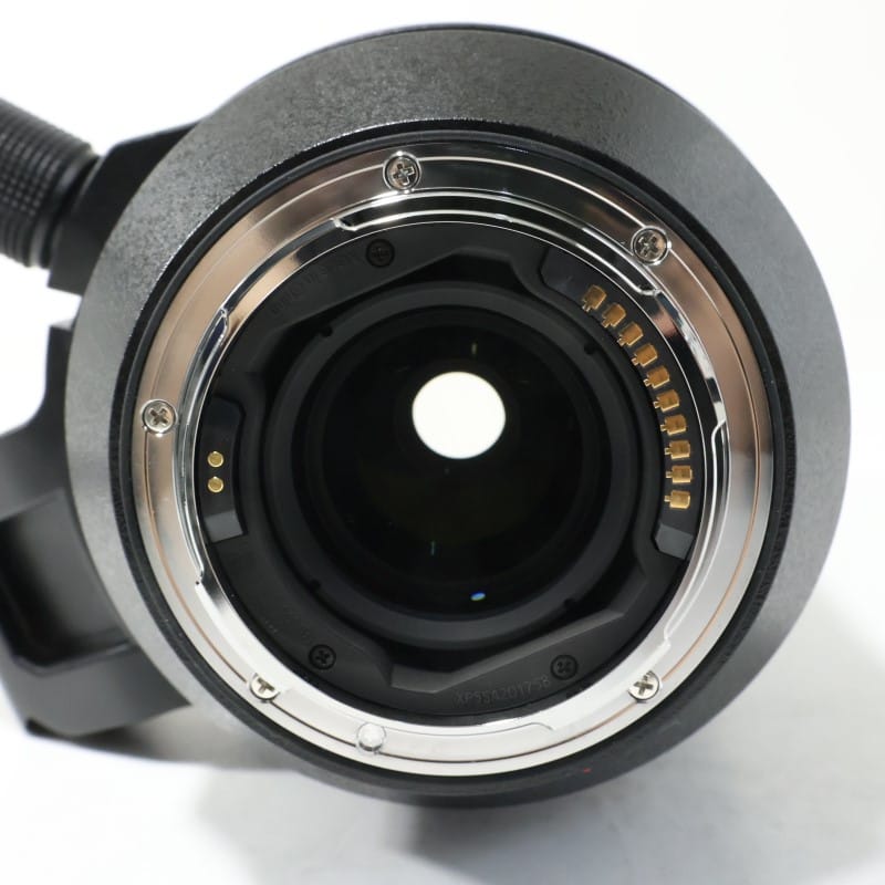 LUMIX S 100-500mm F5-7.1 O.I.S. S-R100500