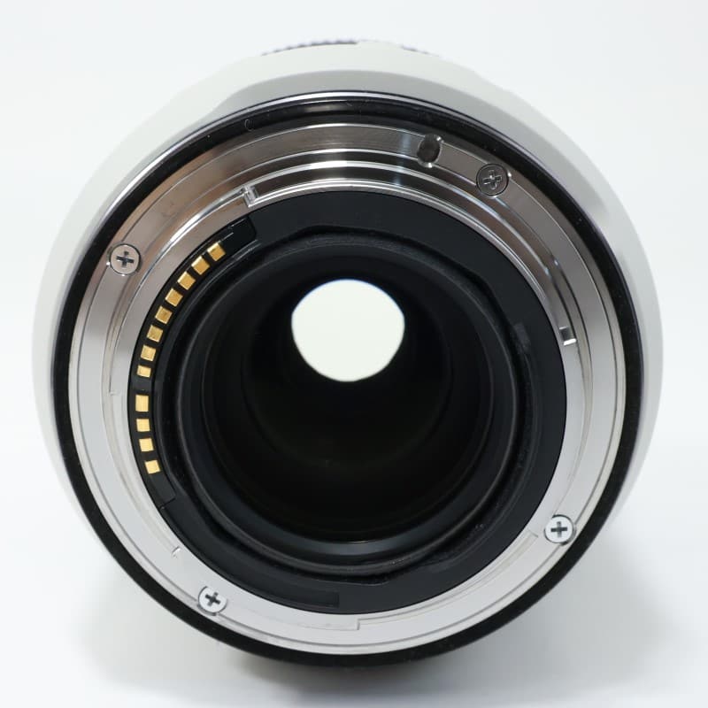RF70-200mm F4 L IS USM