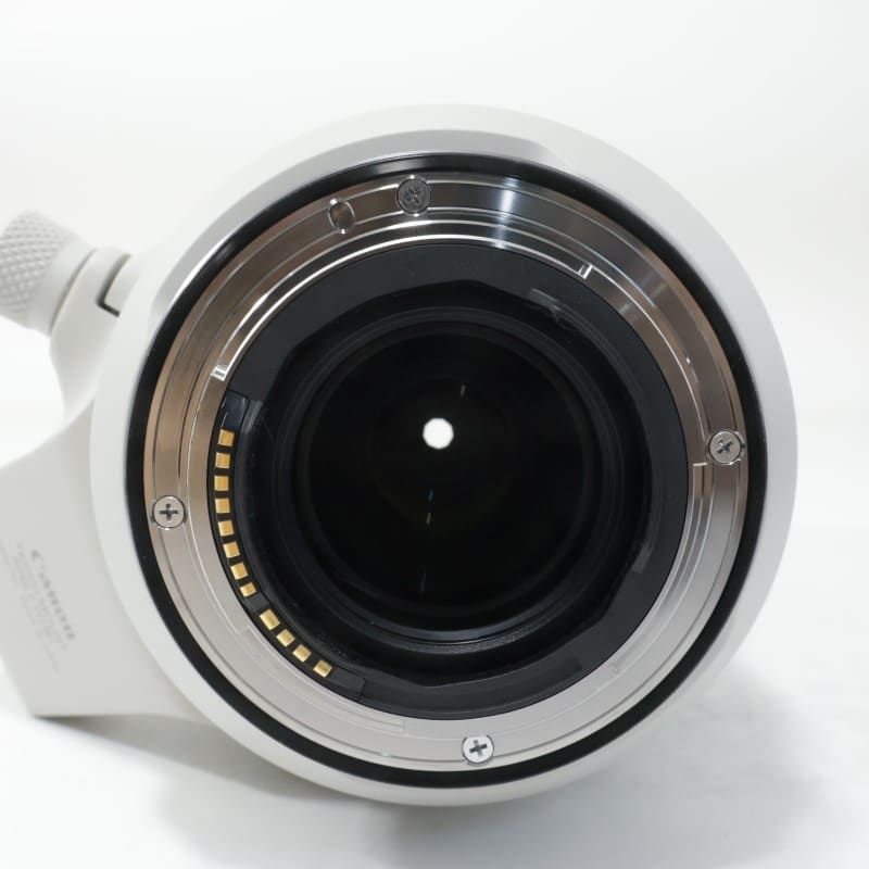 RF100-500mm F4.5-7.1 L IS USM