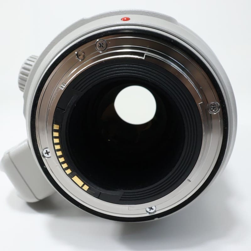 EF100-400mm F4.5-5.6L IS II USM