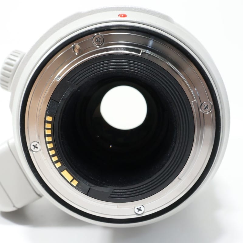 EF100-400mm F4.5-5.6L IS II USM