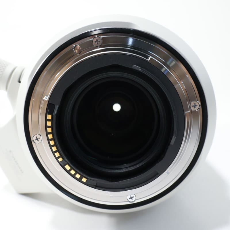 RF100-500mm F4.5-7.1 L IS USM