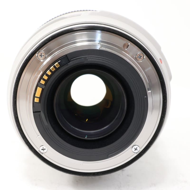 EF 70-300mm F4-5.6 L IS USM
