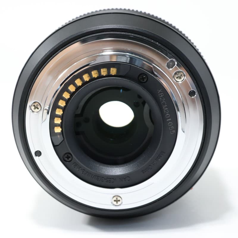 LUMIX G VARIO 12-60mm/F3.5-5.6 ASPH./POWER O.I.S. H-FS12060