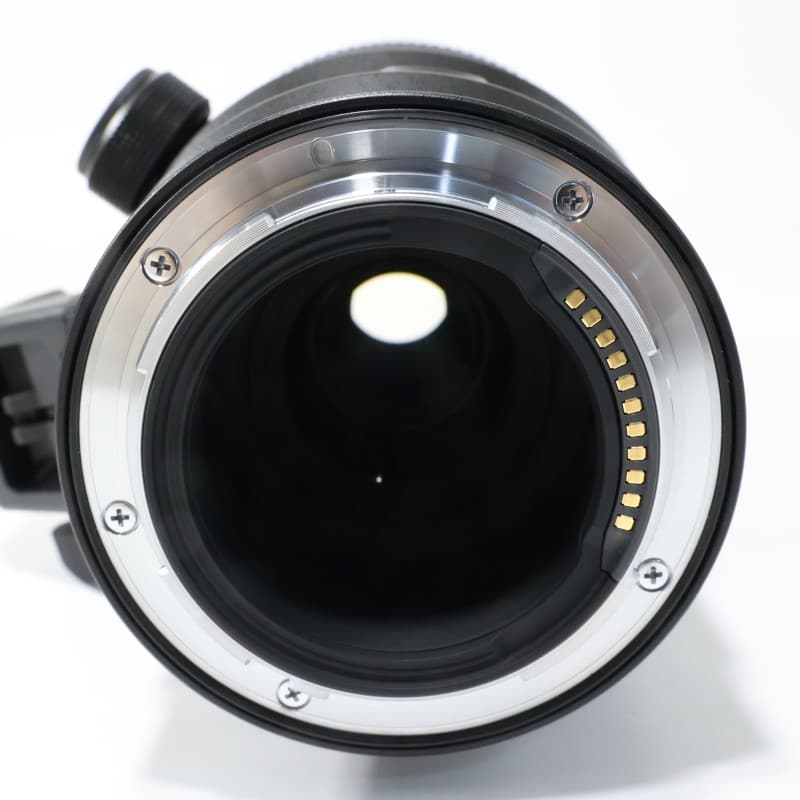 NIKKOR Z 600mm f/6.3 VR S