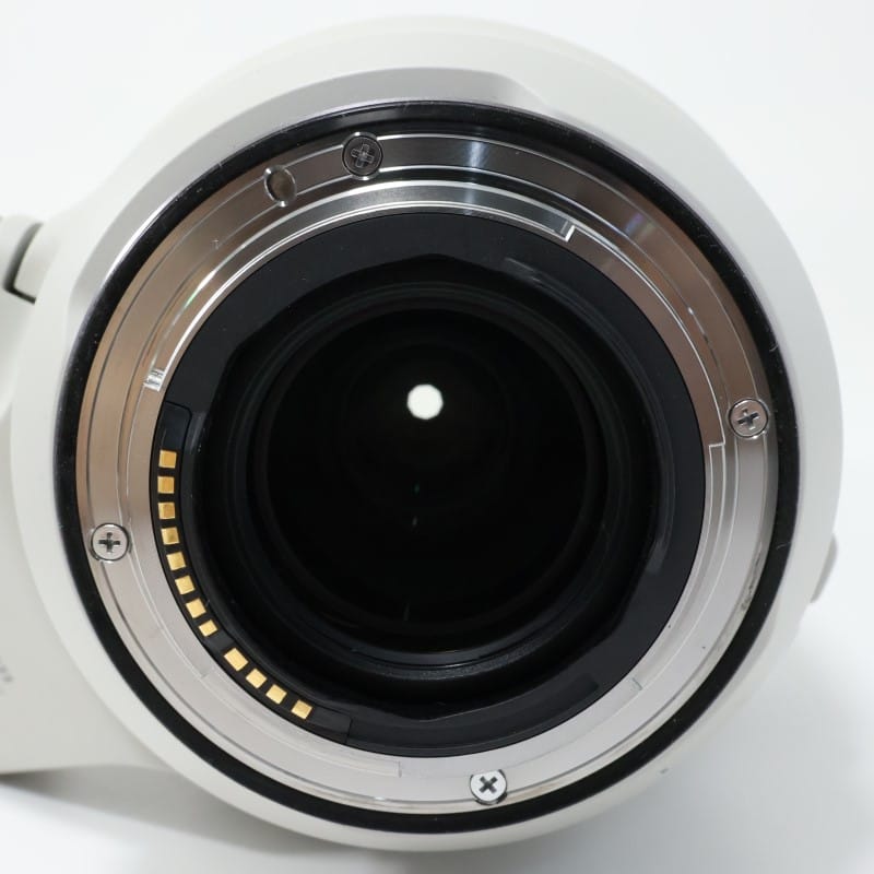 RF100-500mm F4.5-7.1 L IS USM