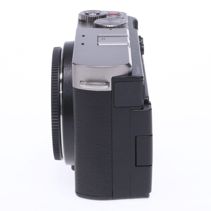 LUMIX S9 ボディ ダークシルバー DC-S9-S