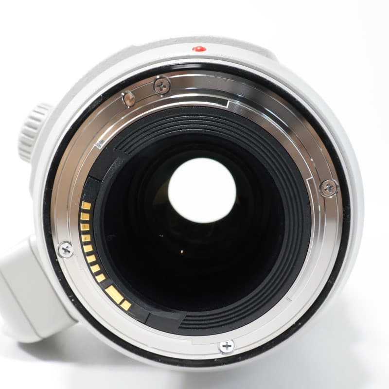 EF100-400mm F4.5-5.6L IS II USM