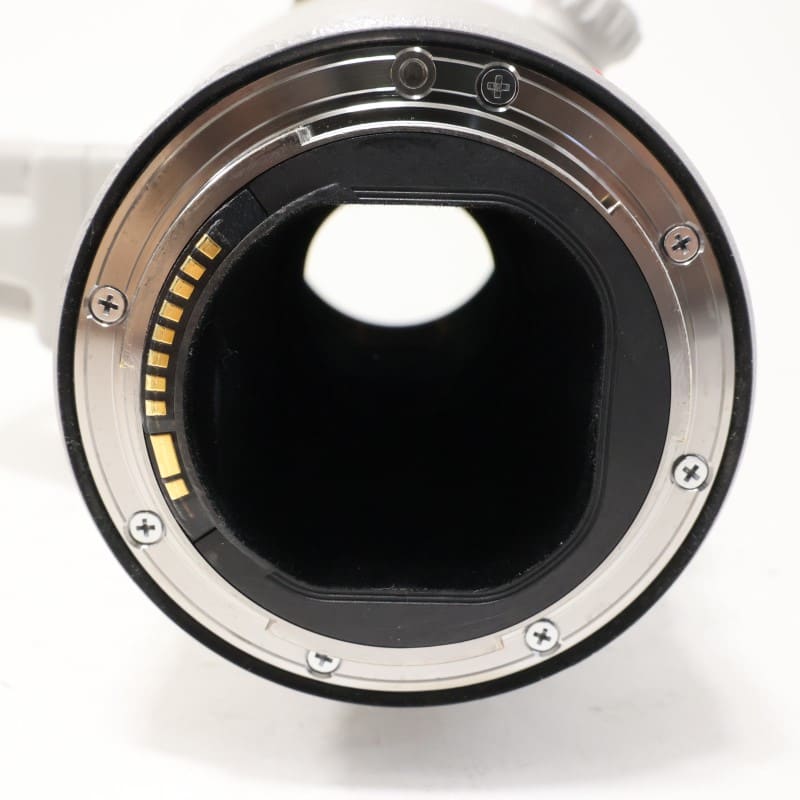 EF 500mm F4 L IS II USM
