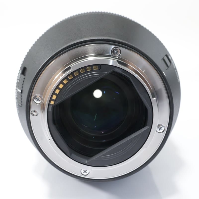 FE 28-70mm F2 GM SEL2870GM