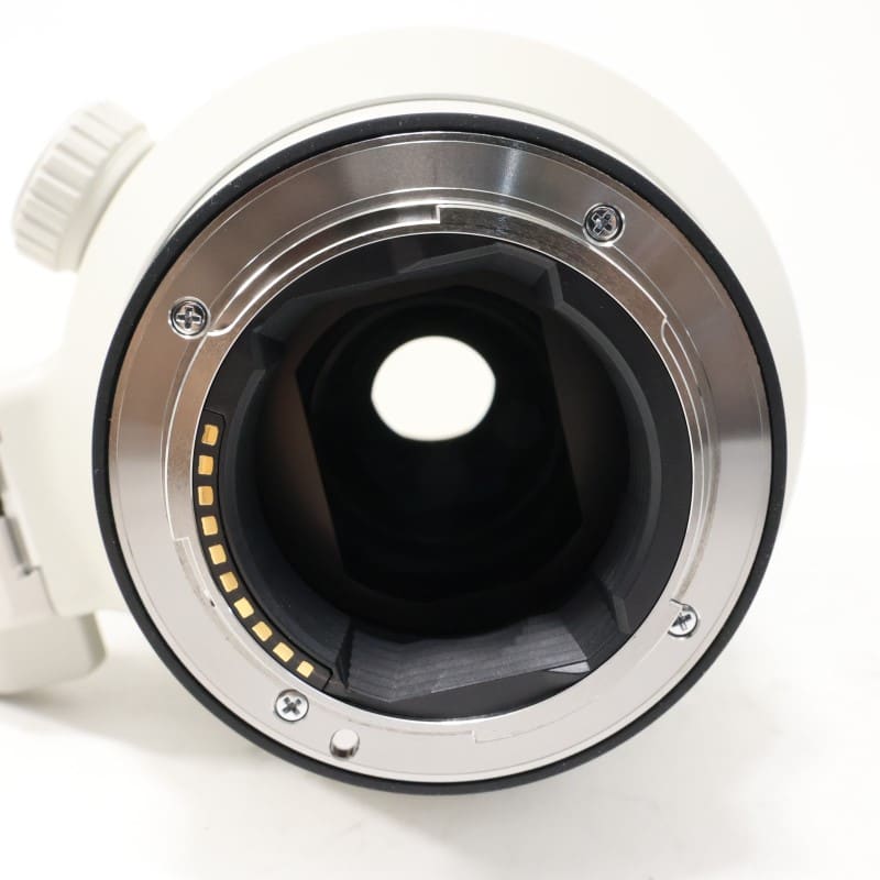 FE 100-400mm F4.5-5.6 GM OSS SEL100400GM