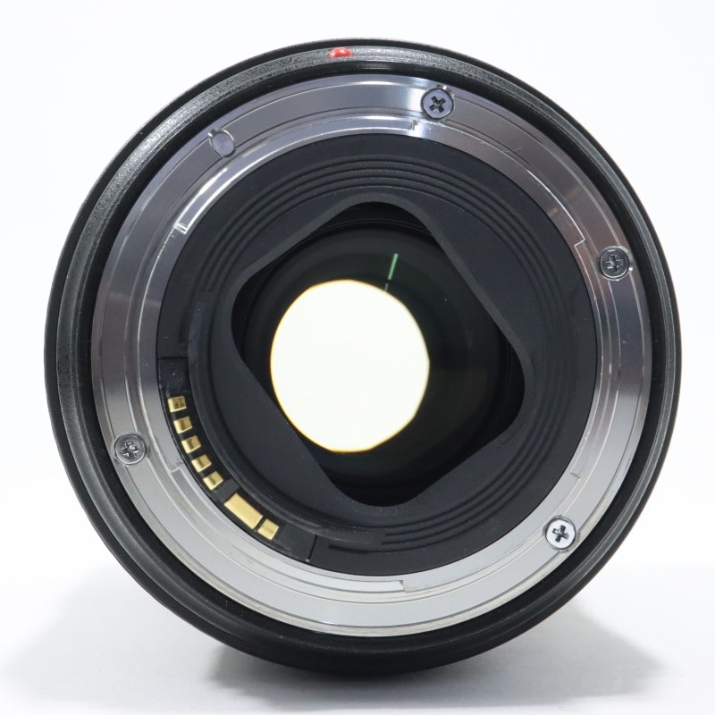 EF 24-105mm F4 L IS II USM