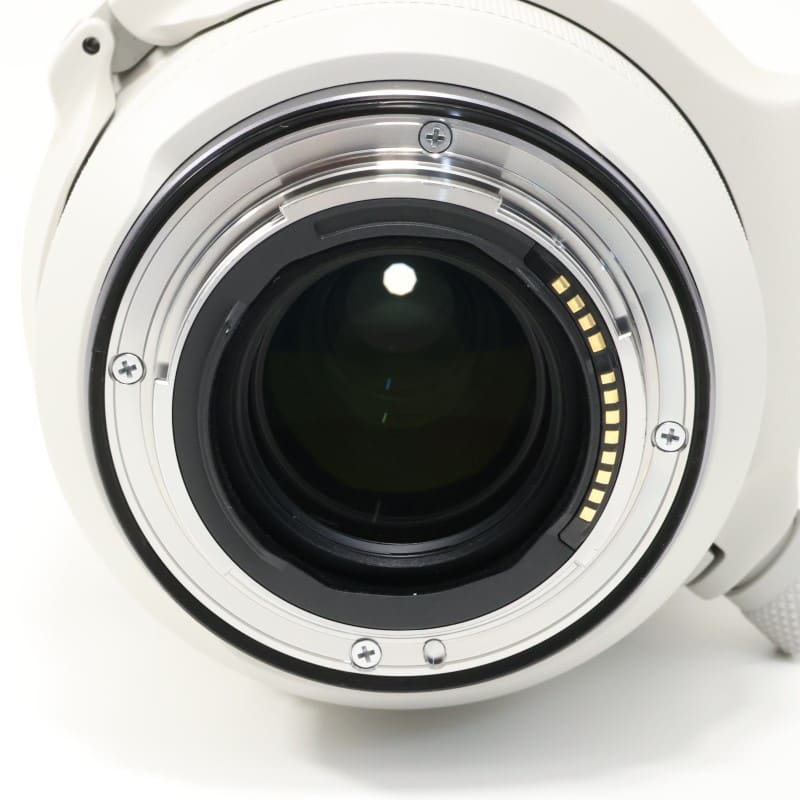 RF100-500mm F4.5-7.1 L IS USM