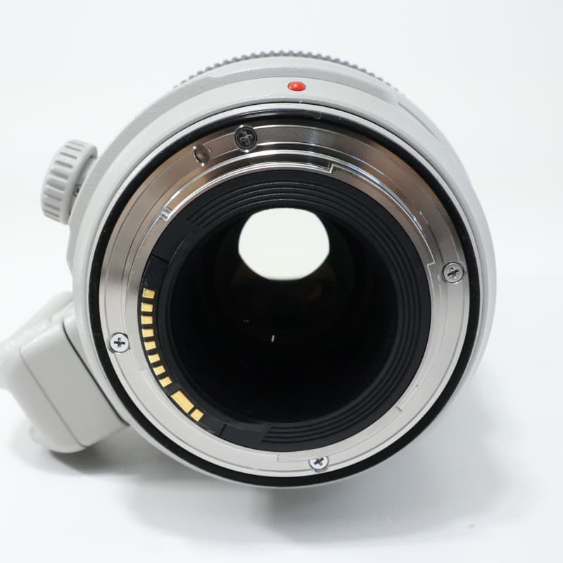 EF100-400mm F4.5-5.6L IS II USM