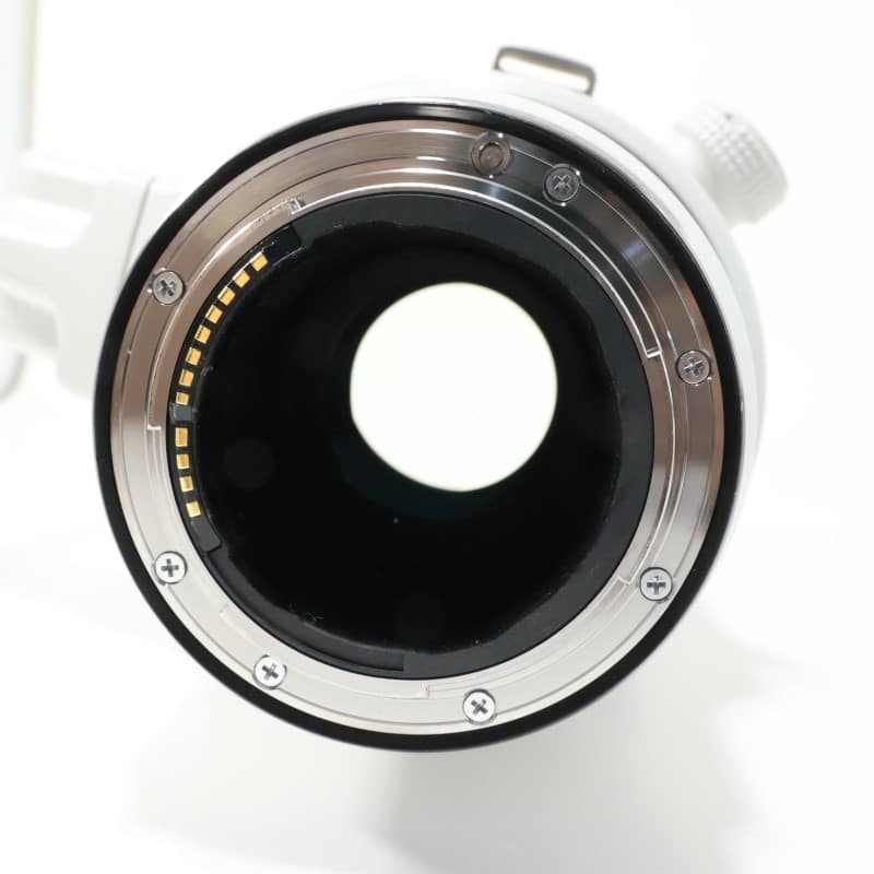 RF100-300mm F2.8 L IS USM