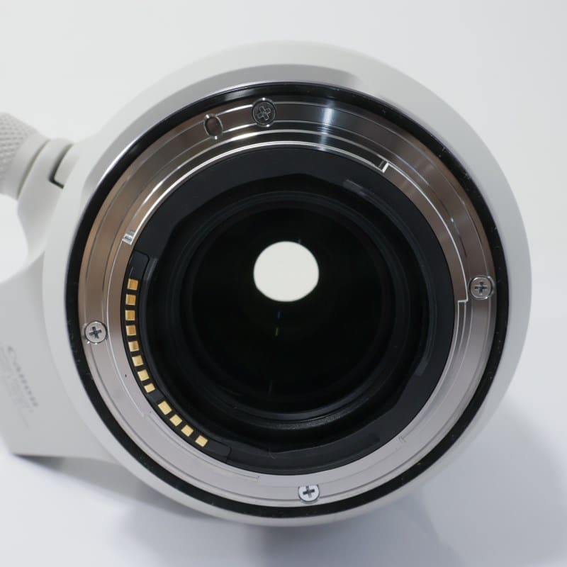 RF100-500mm F4.5-7.1 L IS USM