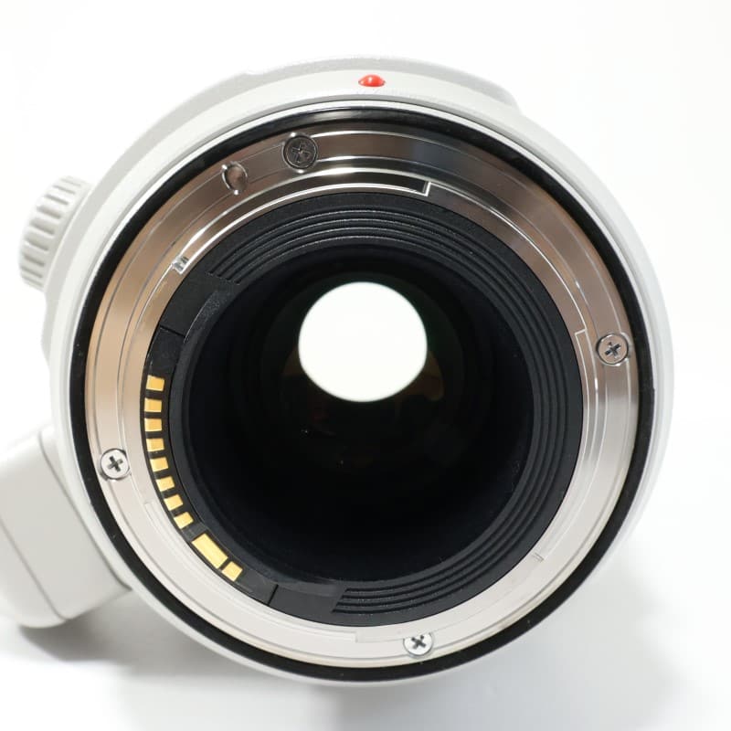 EF100-400mm F4.5-5.6L IS II USM