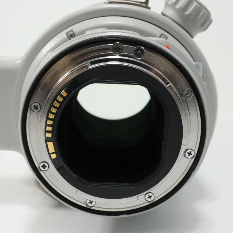 EF 300mm F2.8 L IS II USM
