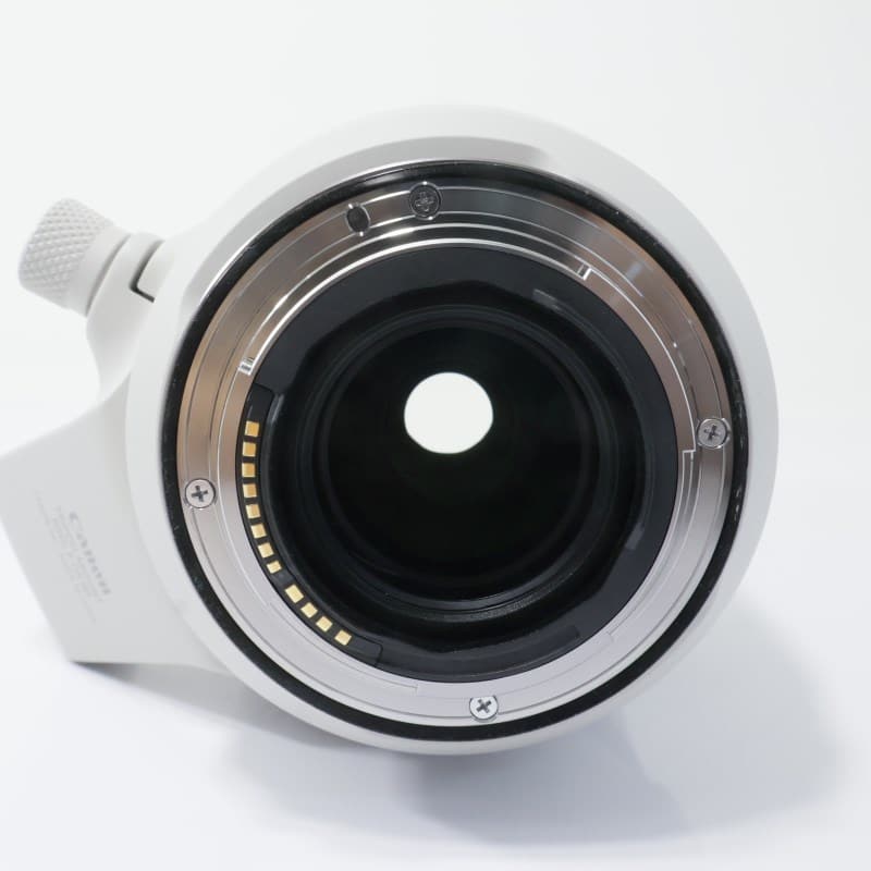 RF100-500mm F4.5-7.1 L IS USM
