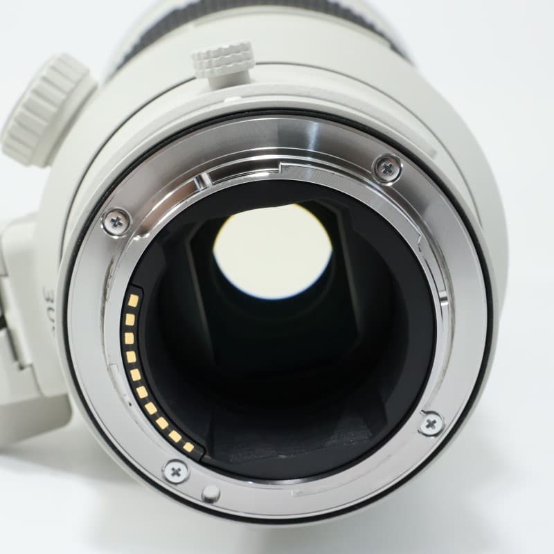 FE 300mm F2.8 GM OSS SEL300F28GM
