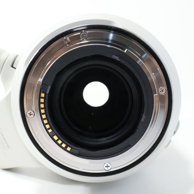 RF100-500mm F4.5-7.1 L IS USM