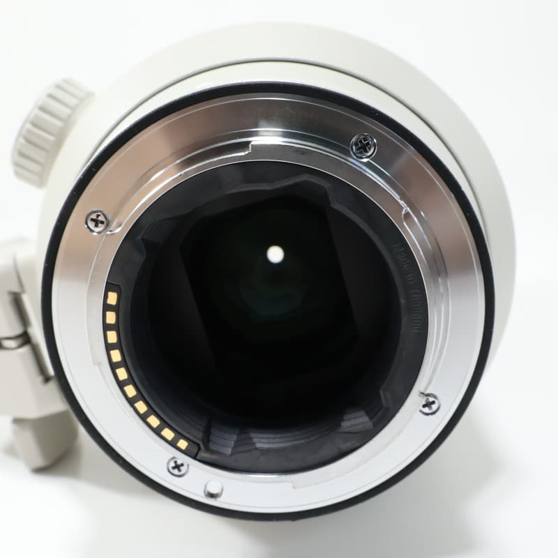 FE 70-200mm F2.8 GM OSS SEL70200GM