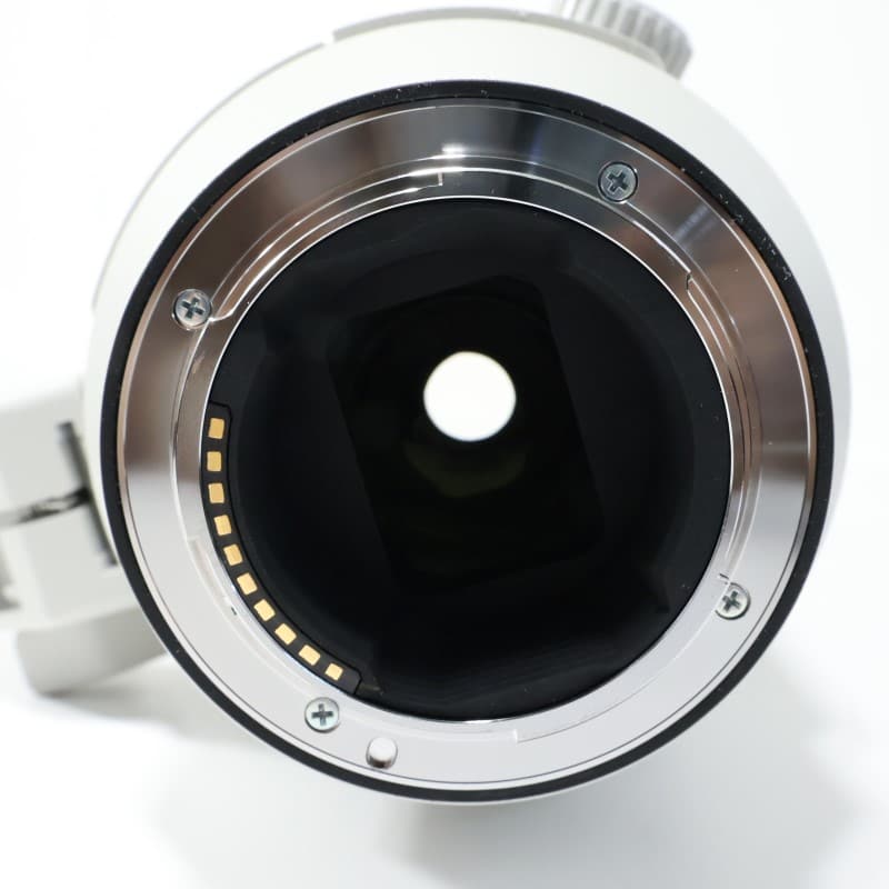 FE 200-600mm F5.6-6.3 G OSS SEL200600G