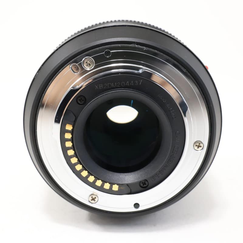 LUMIX G VARIO 12-60mm/F3.5-5.6 ASPH./POWER O.I.S. H-FS12060